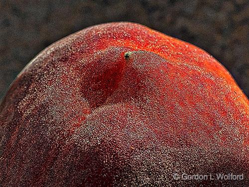 Fuzzy Peach_P1100989.jpg - Photographed at Smiths Falls, Ontario, Canada.